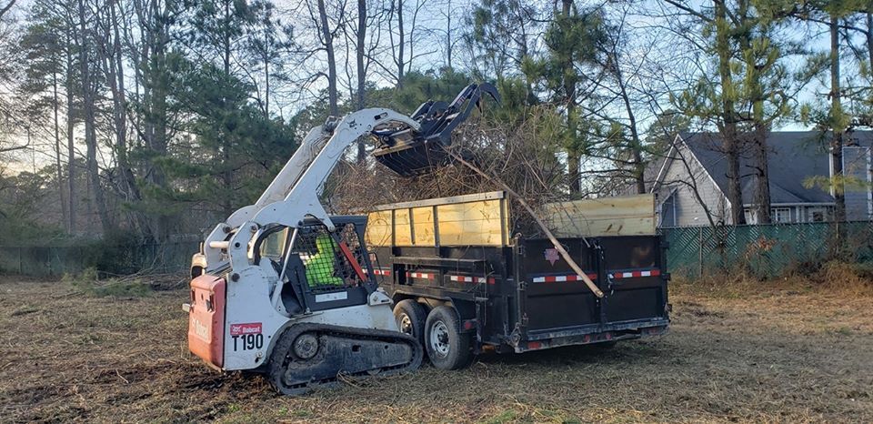 Tree branches are placed for chipping cut trees