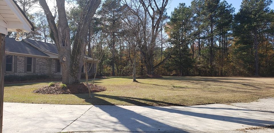 Residential Lawn