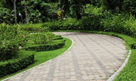 garden pathway