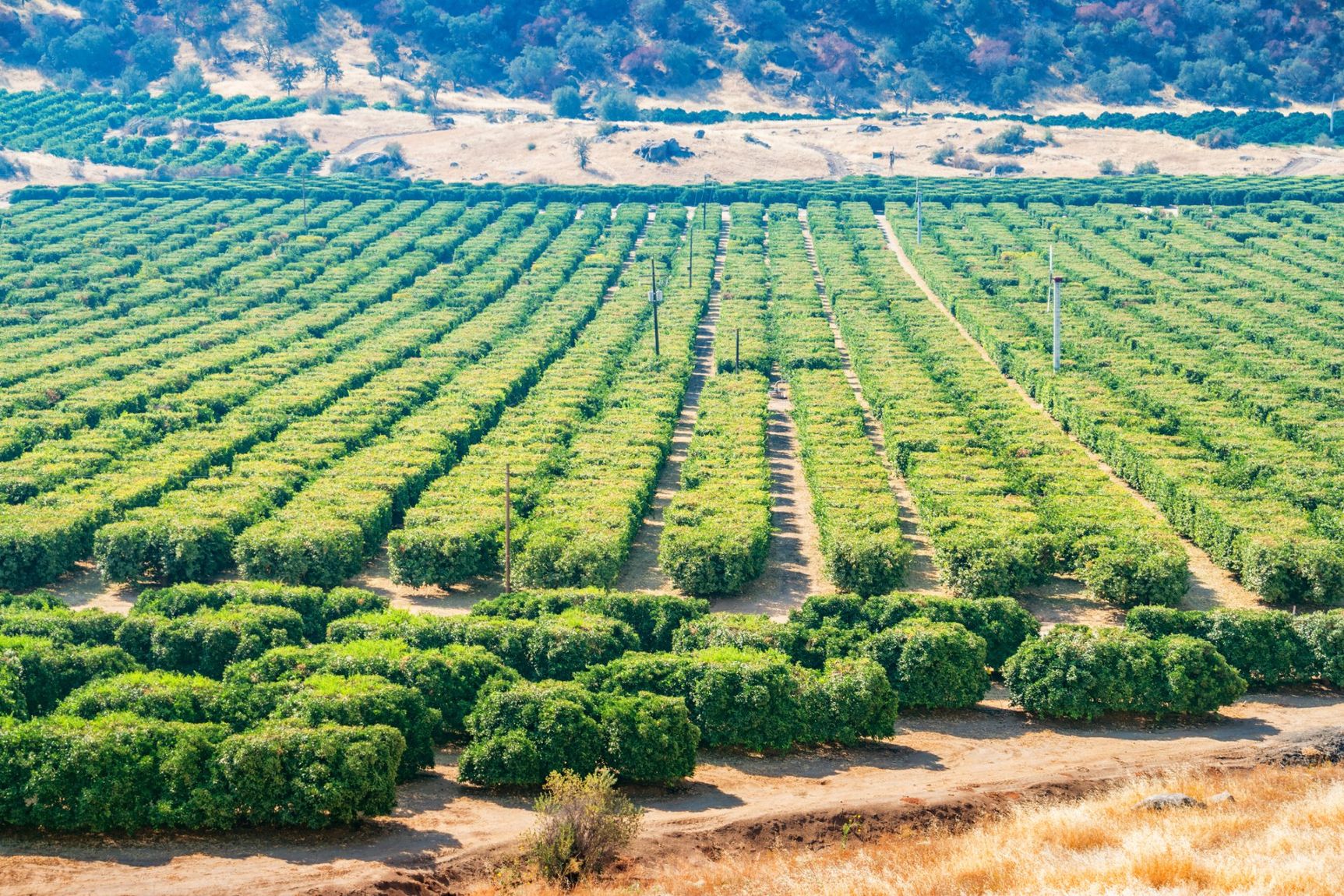 Bakersfield, California