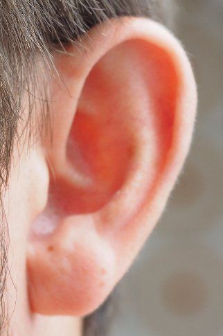 male ear