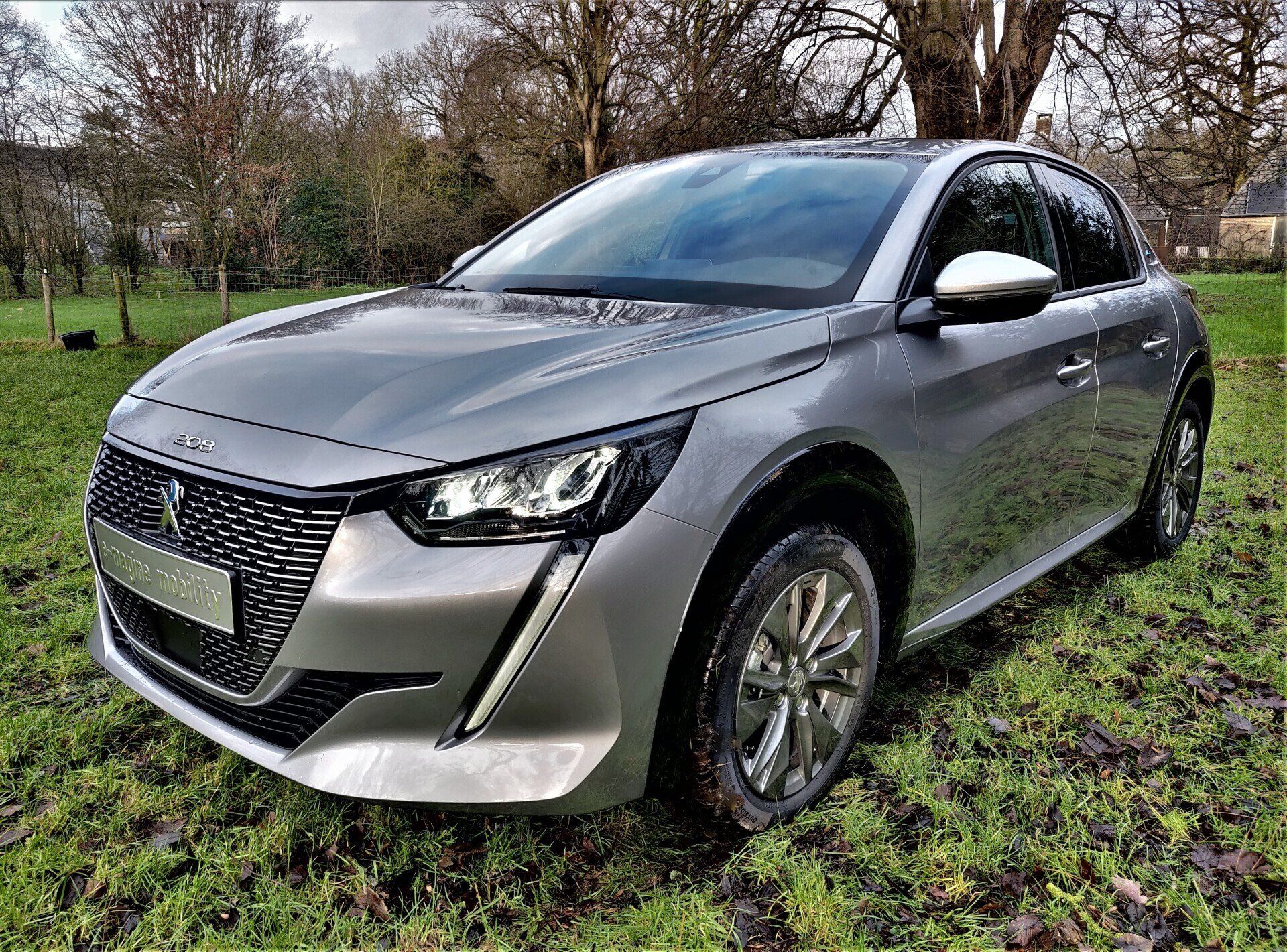 Peugeot e-208