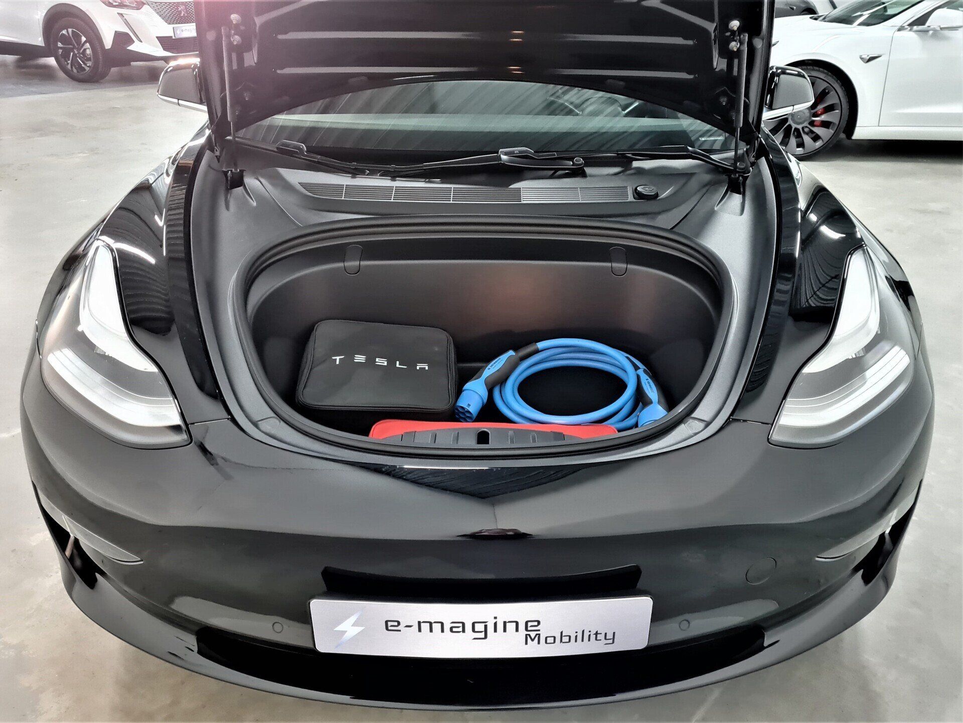 Tesla Model 3 Long Range Dual Motor AWD