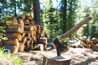 Firewood — Pile of Newly Chopped Wood in Delavan, WI