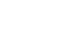 Cffolgueroles escut