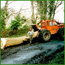 Ash extraction