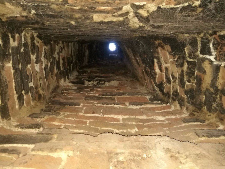 Chimney inspection