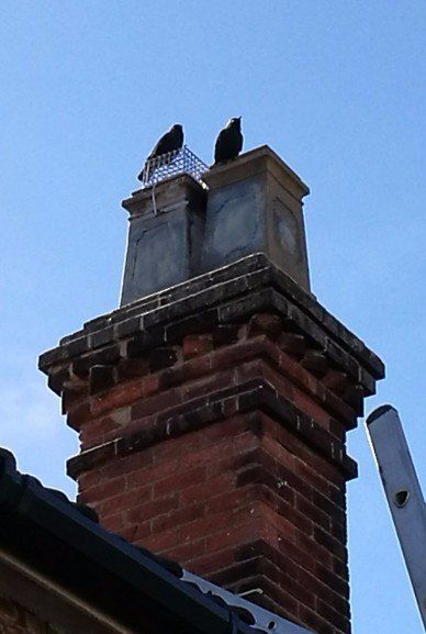 tiled roofing