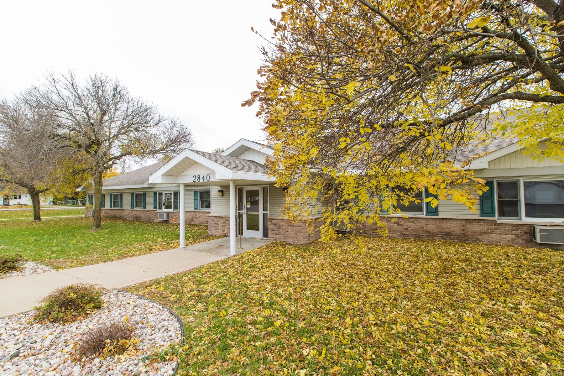 A house with a walkway leading to it and a tree in front of it covered in leaves.