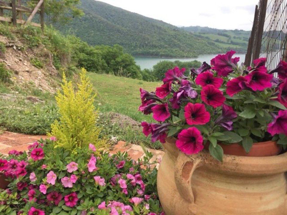 Fiori