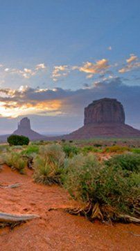 desert