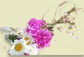 Your Wedding Website