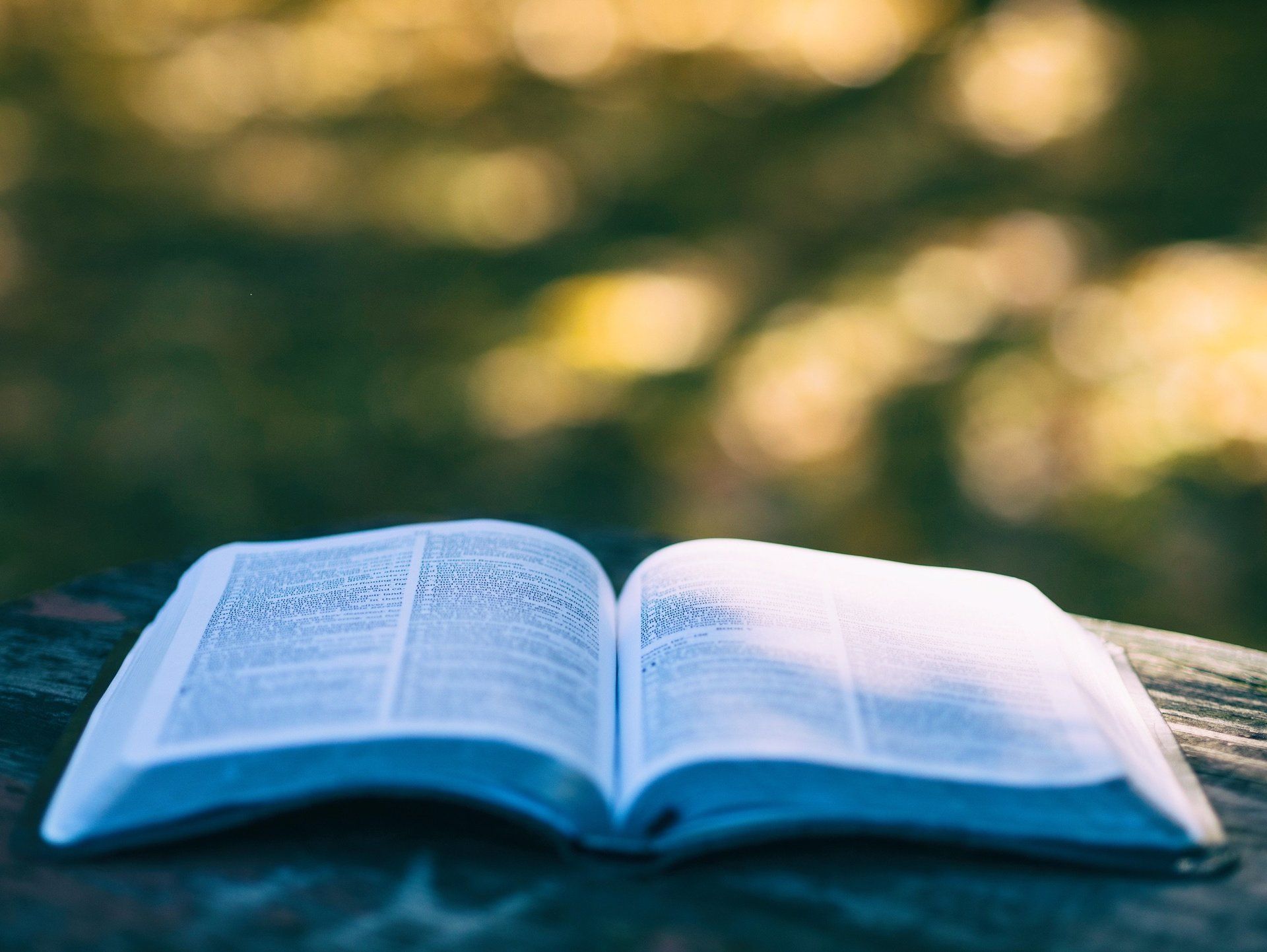 Boeken over de dood Boeken over de dood