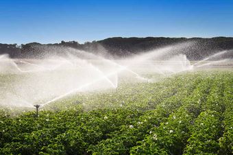 field irrigation