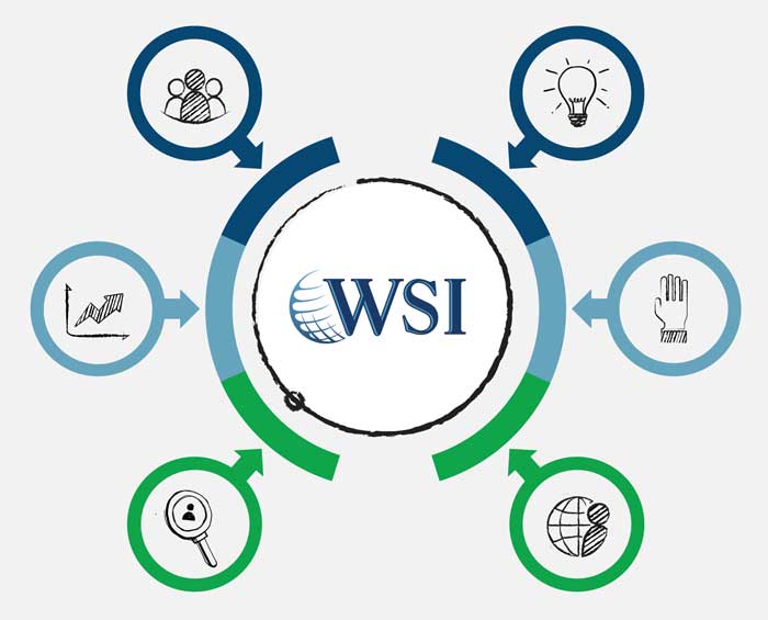 WSI Core Values