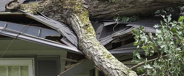 Damaged property