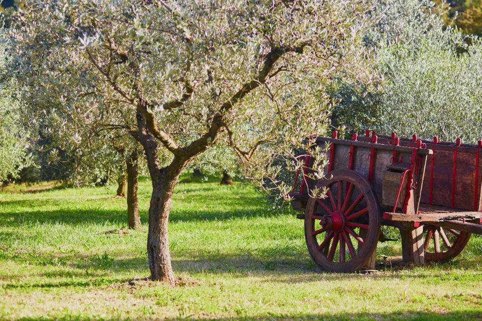 Terreni di un agriturismo