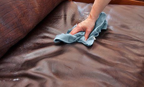 sofa cleaning