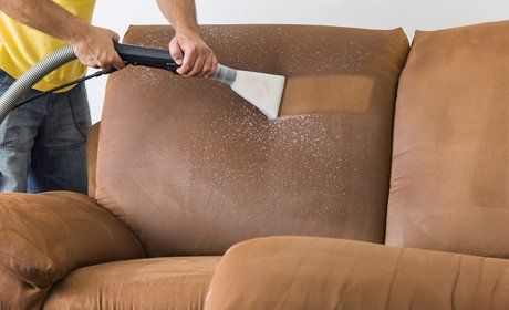 cleaning the sofa