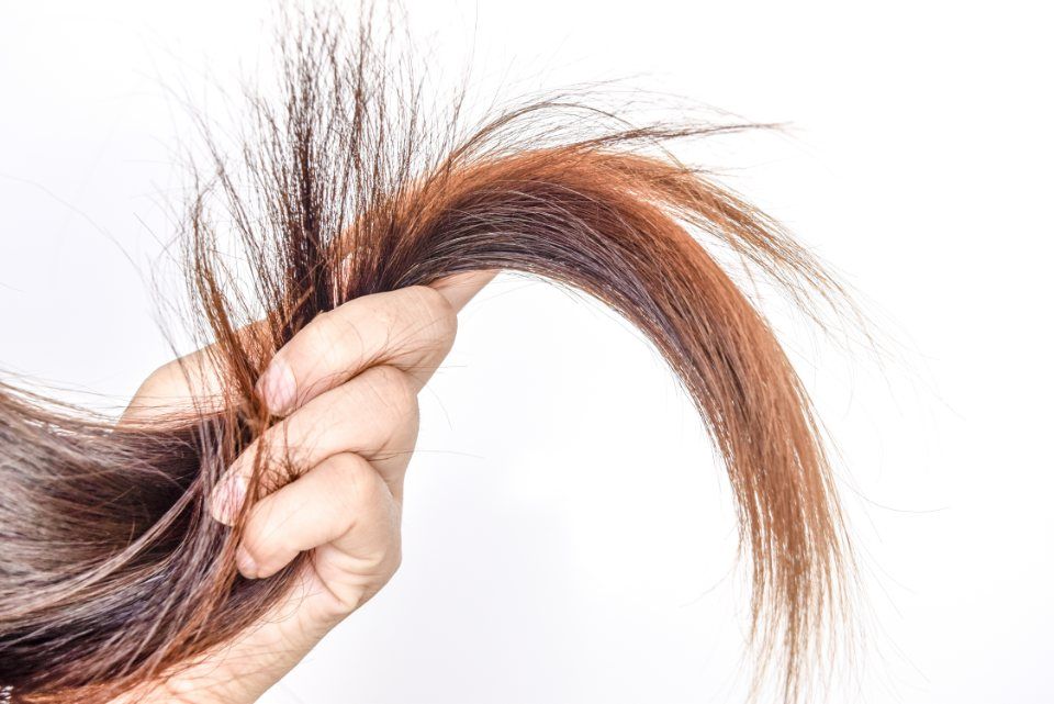 capelli con punte sane e lucenti
