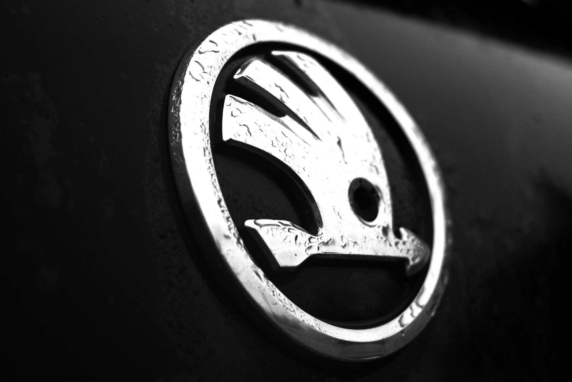 Skoda Repairs