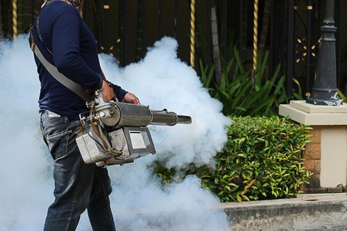 A Man Is Using a Machine to Spray Smoke in A Garden — Newport News, VA — E & R Exterminating Company, Inc. A Man Is Using a Machine to Spray Smoke in A Garden — Newport News, VA — E & R Exterminating Company, Inc.