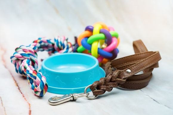 Prodottii per cani