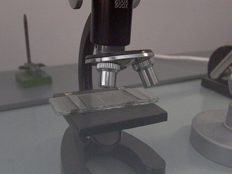 microscopio