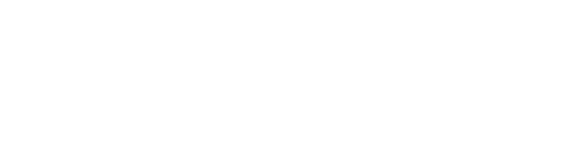 Our Collections