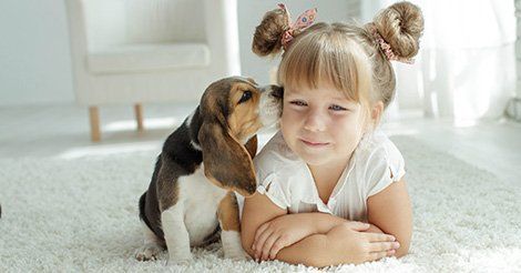 clean house & pet sitting Venice Florida