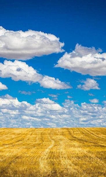 Un clima ideale con i nostri climatizzatori Climatizzatori