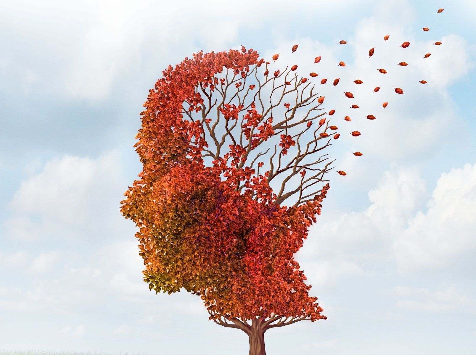 Alzheimer's dementia care