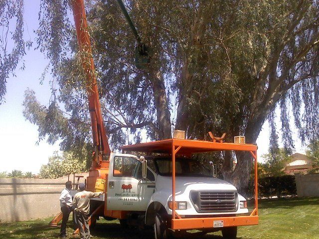 Company Truck -  landscape design in Thousand Palms, CA