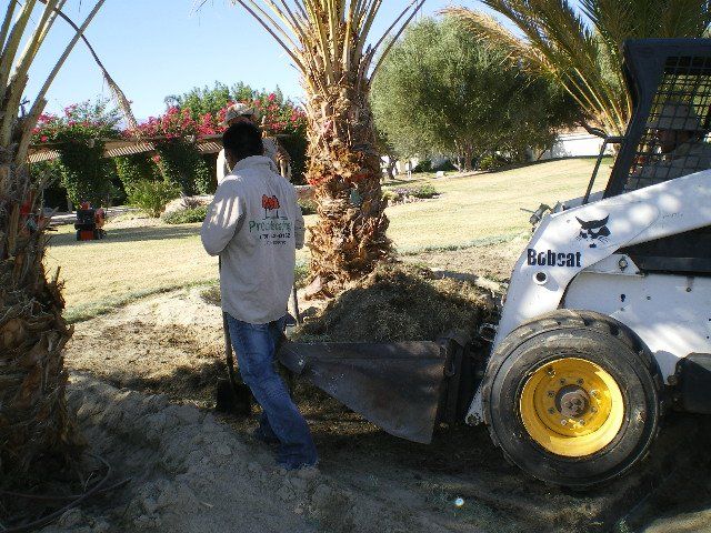 Man working on landscape, landscape design in Thousand Palms, CA