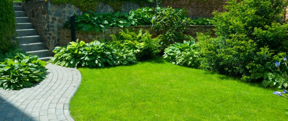 creazione giardino