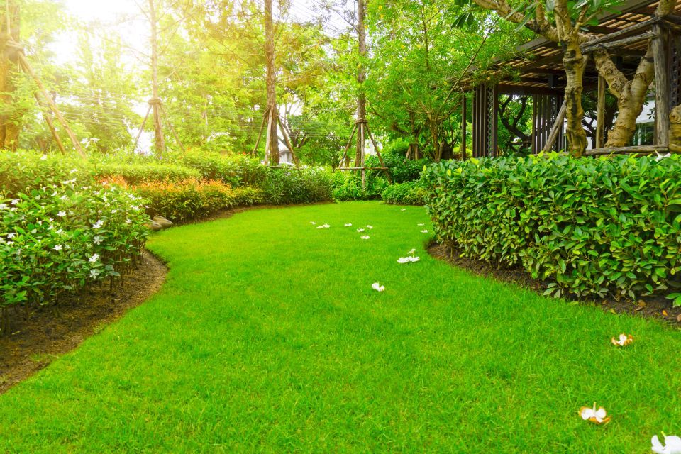giardino curato