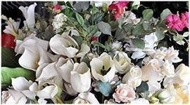 fiori per giardino