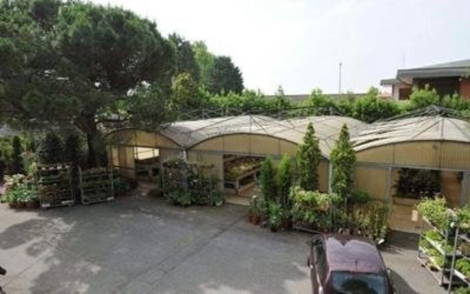 vivaio di piante e fiori