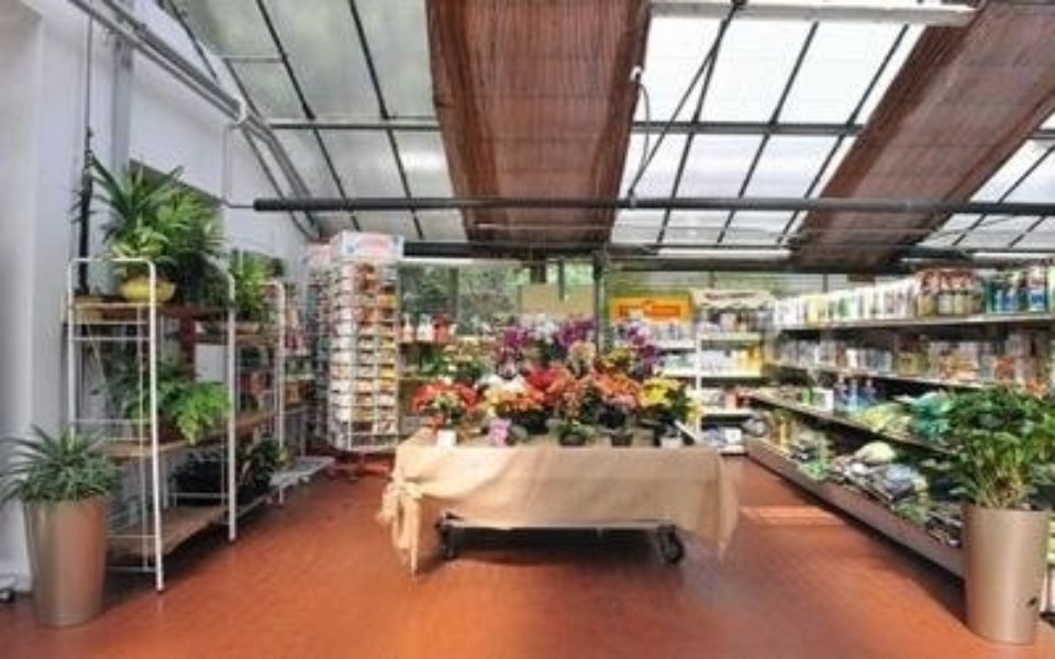 piante in esposizione