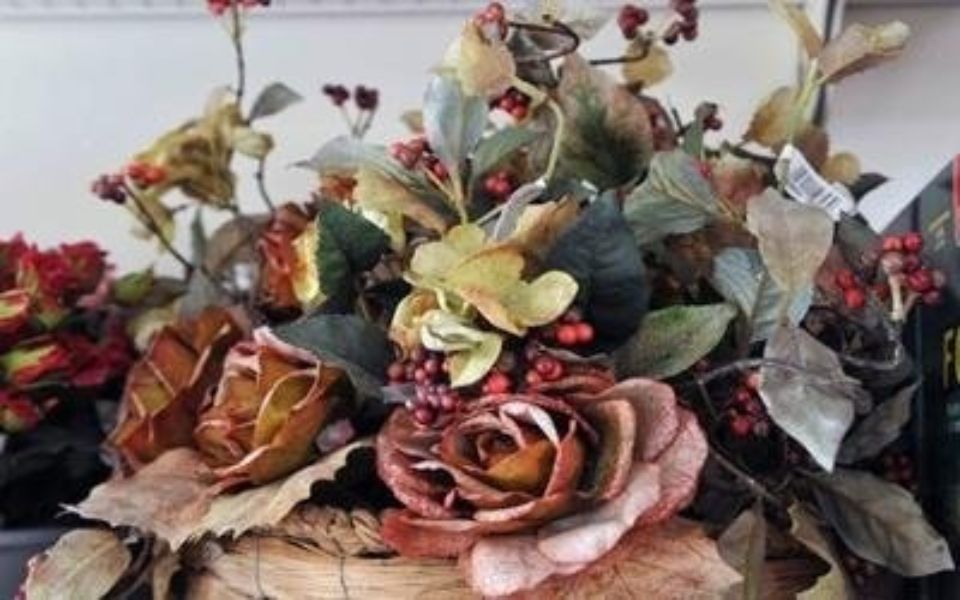 piante fiorite