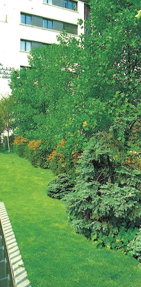 Giardino con alberi