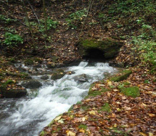 Looking Upstream