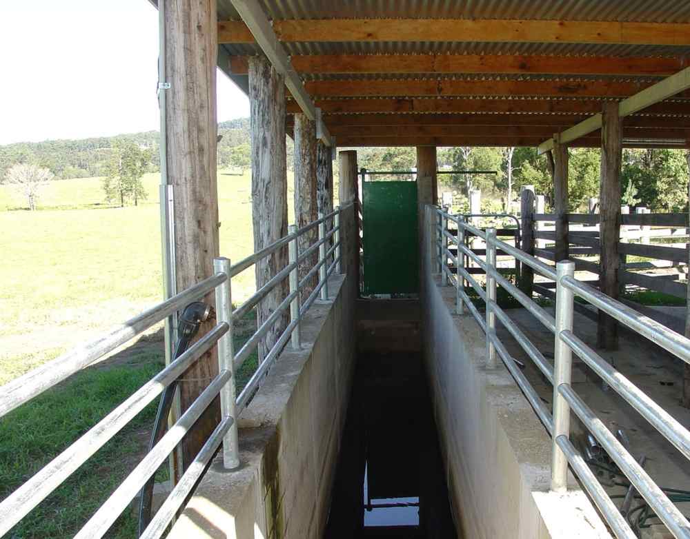 Path — Gates Darwin in Pinelands, NT