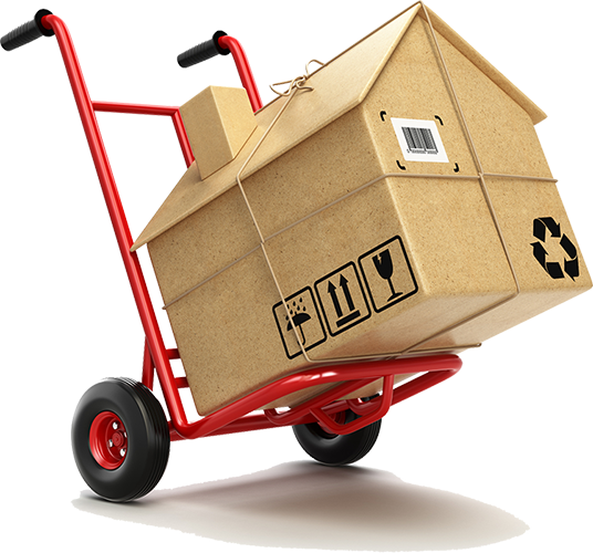 Hand Truck with Cardboard Box — West Virginia — Watts Brothers Moving