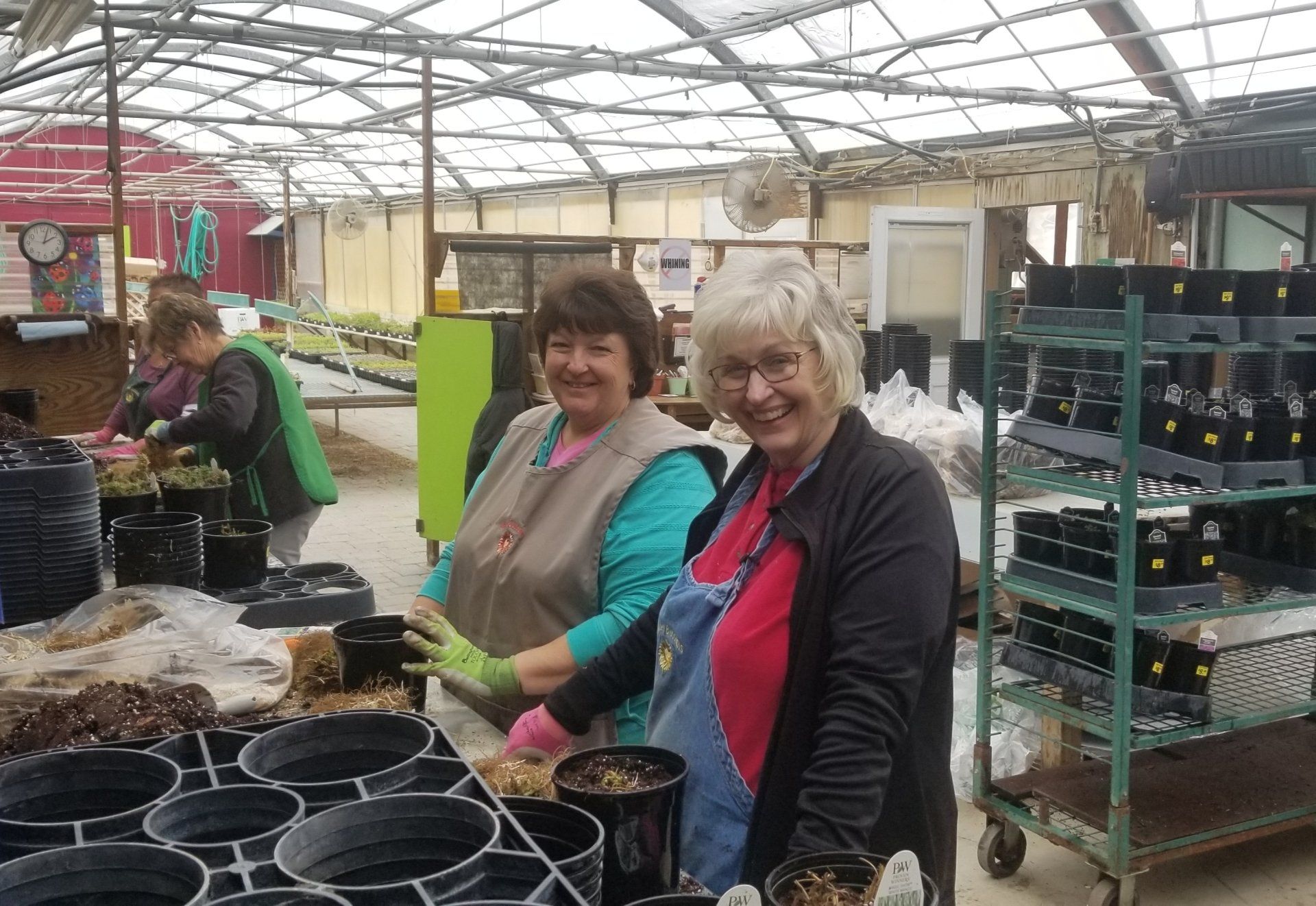 Employees of Babe's blossoms