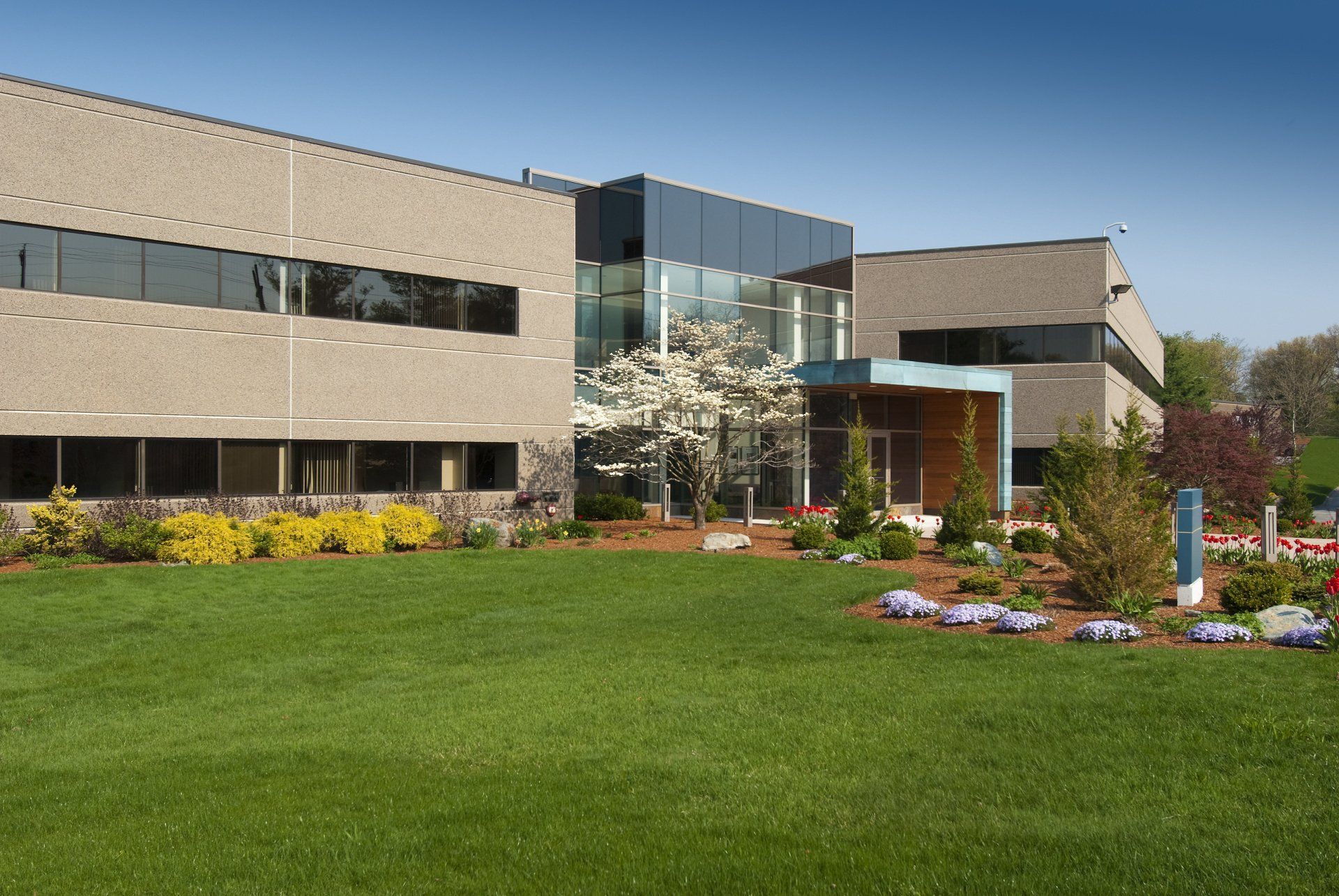 Commercial pest control