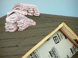 shingles shingles