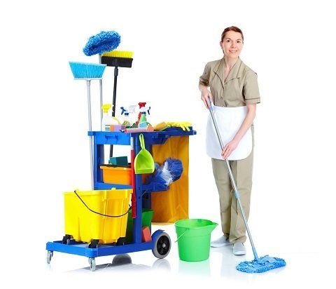 Cleaning maid