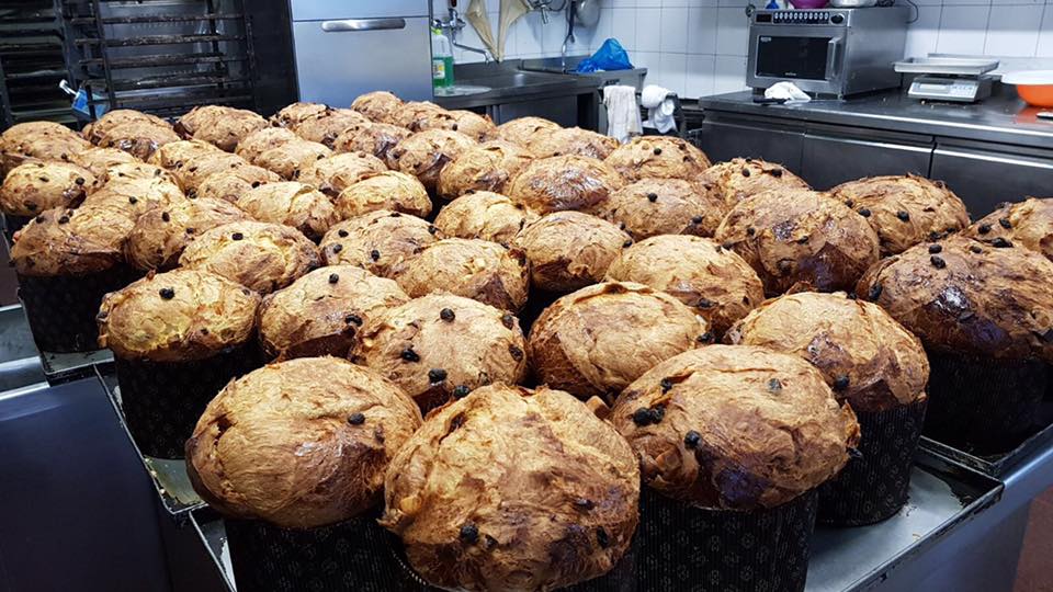 panettoni