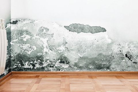 Damp proofing